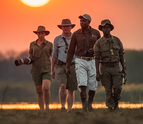 A guide and photographer walking at sunset in the Liwonde