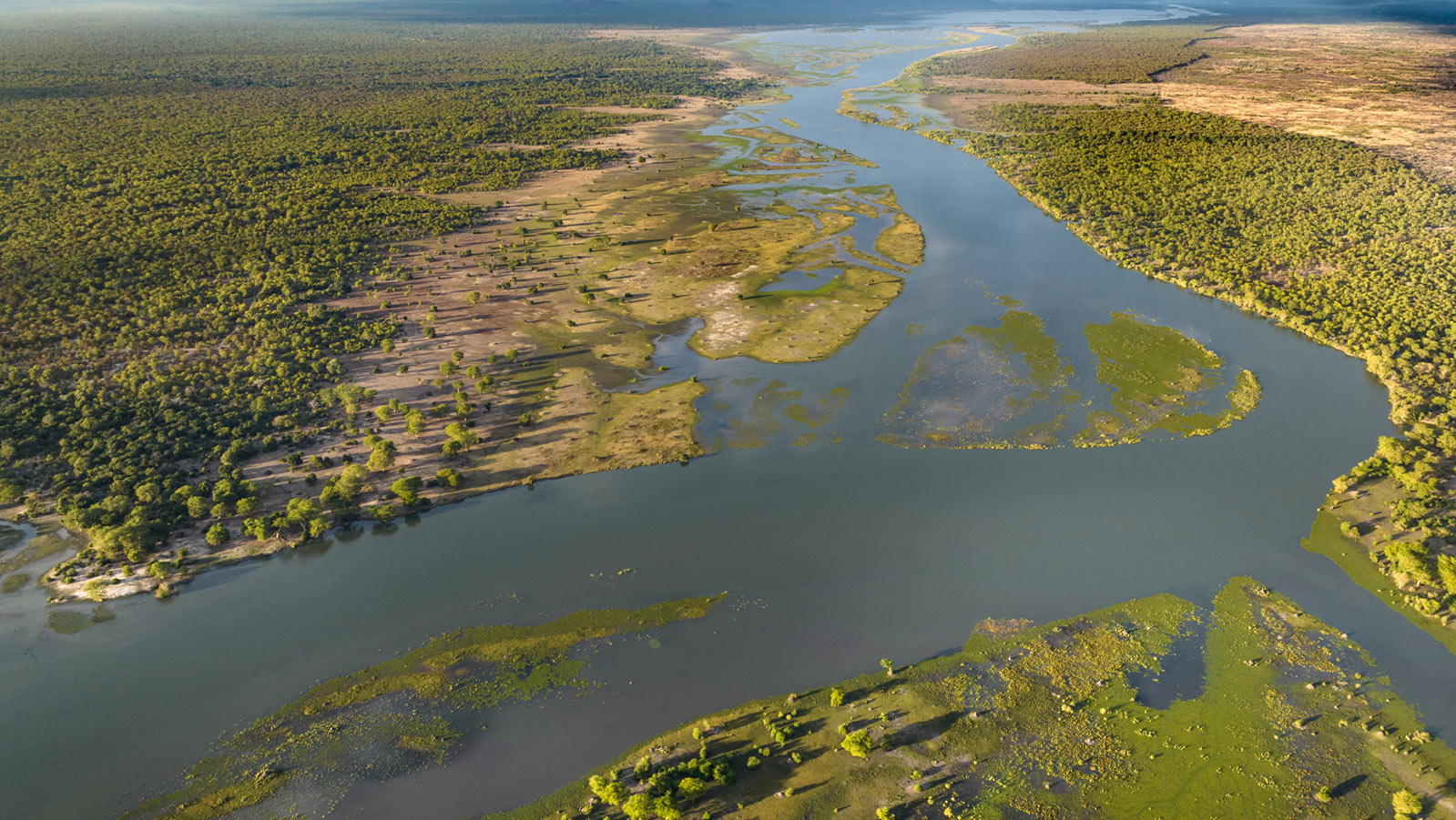Aerial View of the Shire River